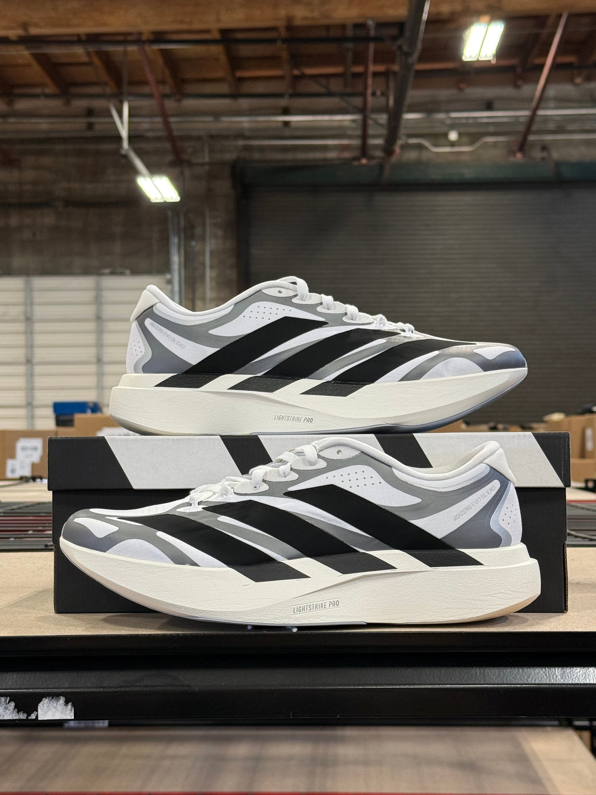 adidas Adizero Evo SL EXO at West Coast Deals